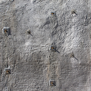 capsules